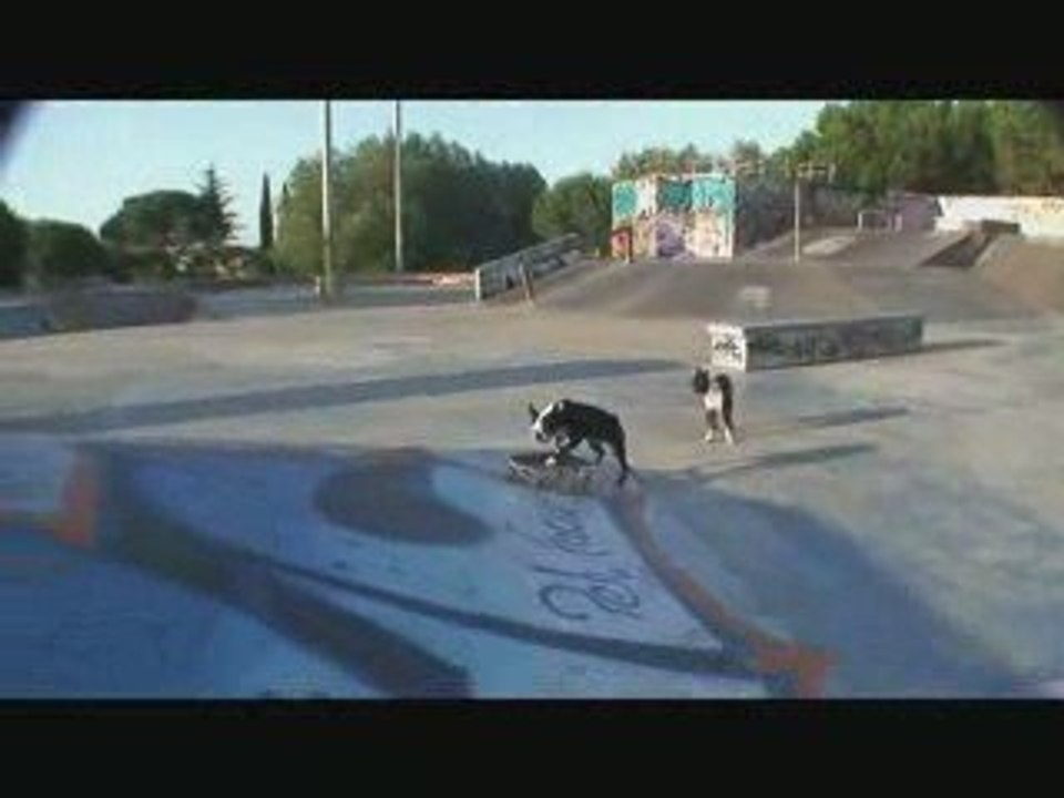Montpellier skatepark Part 7