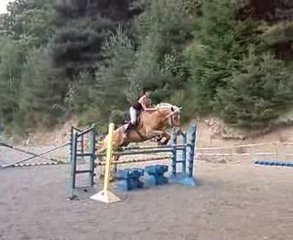 Ganache oxer 1M15