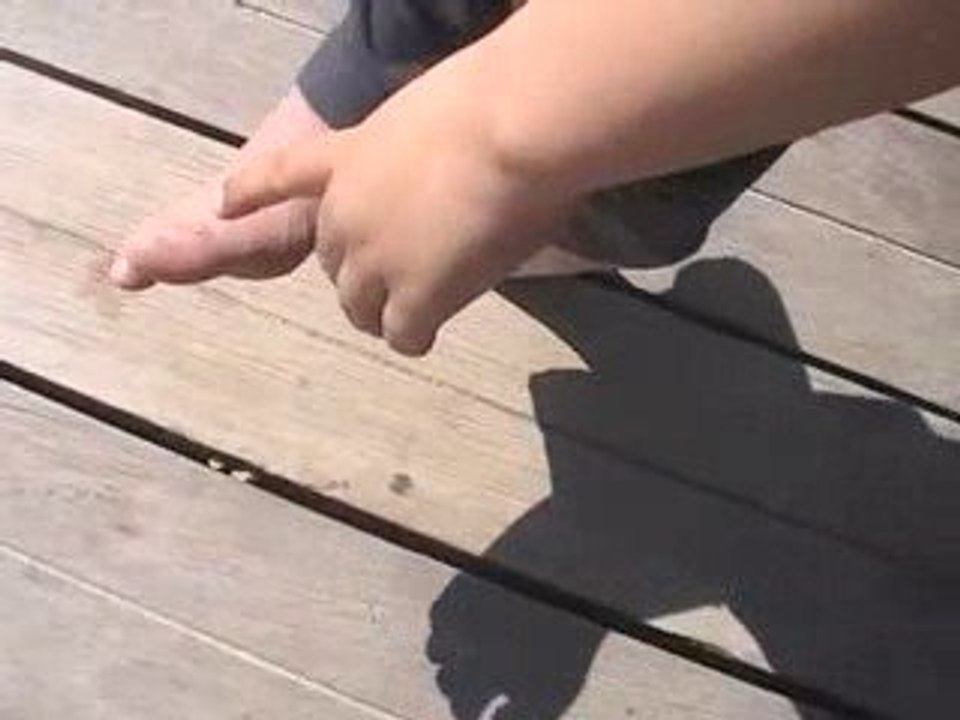 petite poésie membrée