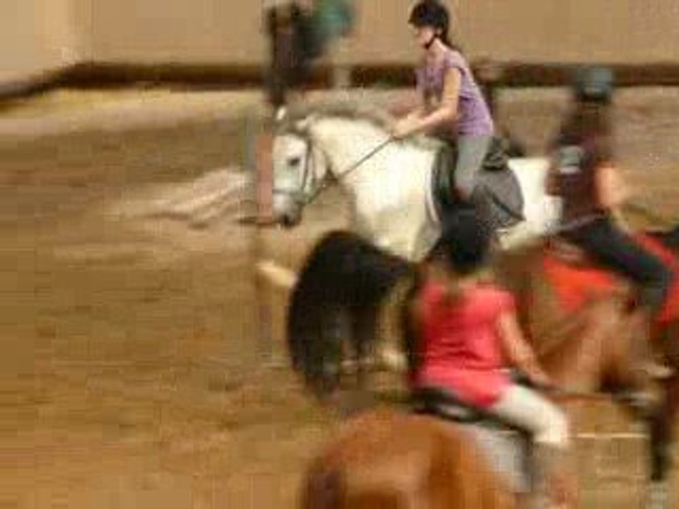 Cours de saut avec pardo