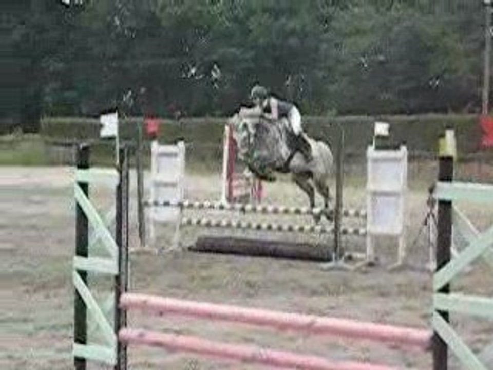 Quidam du Préau, Kernilien, D4p