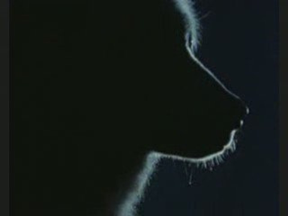 The beauty of wolves