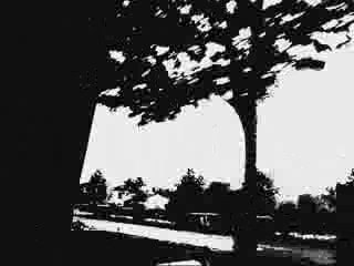 Eagle Eye Cherry - Shooting up in vain