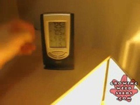 Indoor Marijuana Grown from Seeds - Walkthrough of My Grow