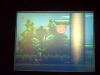 Donald duck-the lucky dime garden