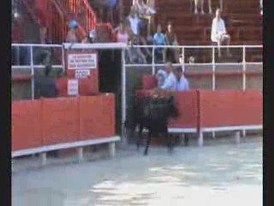 course trophées de l'avenir et abrivado bandido