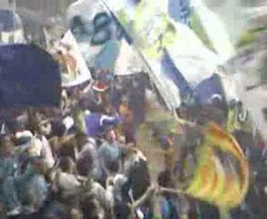 mtp che les verts