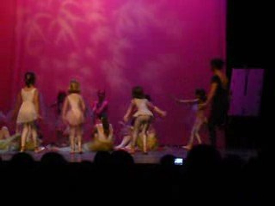Gala2009bis