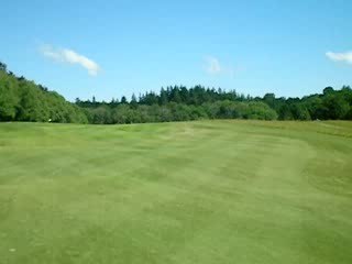 David Présente Son Pitch : Découvrez Son Projet Innovant 💡