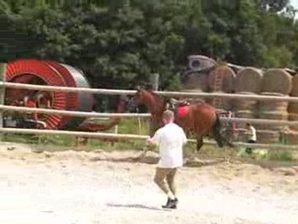 Sans Titre