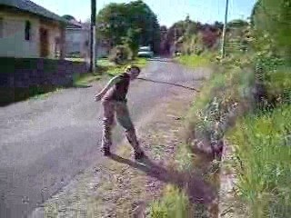 Le free syle des filous