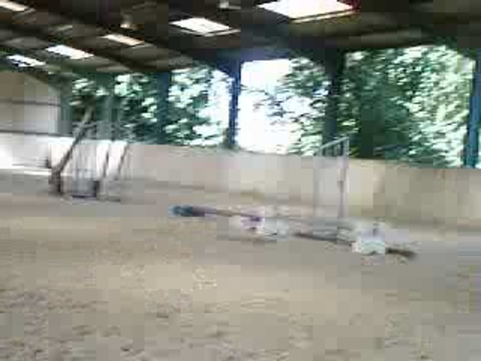 video de arnold