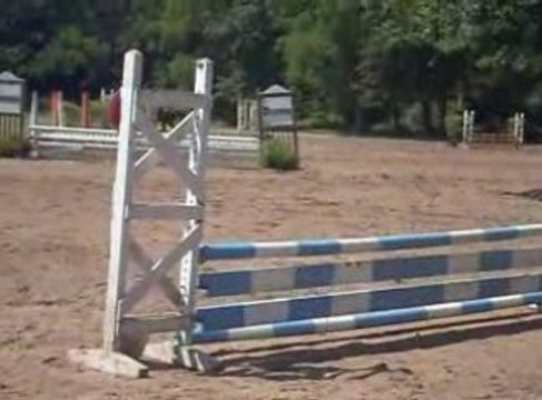 Moi et Krunch Dernier Concour ; 28 juin E3