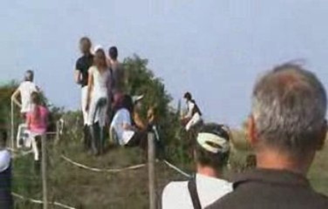 Ficus et moi / Concours interne 28/06/09