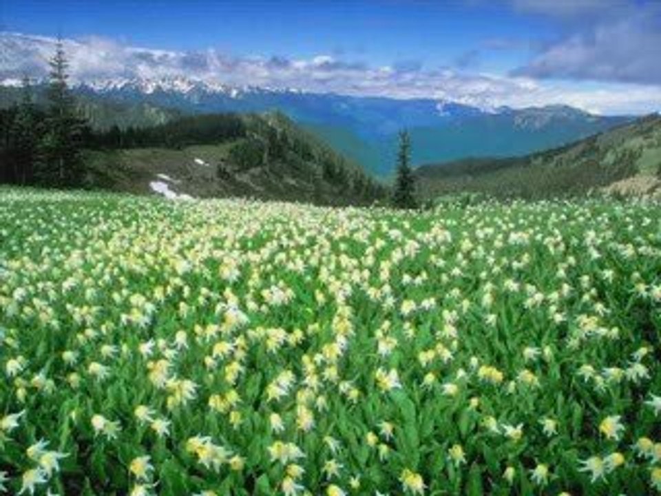 Ferhatça Sevdalarımız (şiir)