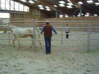 tobee stage didier KREMPTER