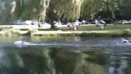 Tous à l'eau... avec du pastis