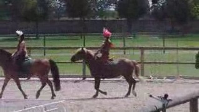 Spectacle d'équitation 1.
