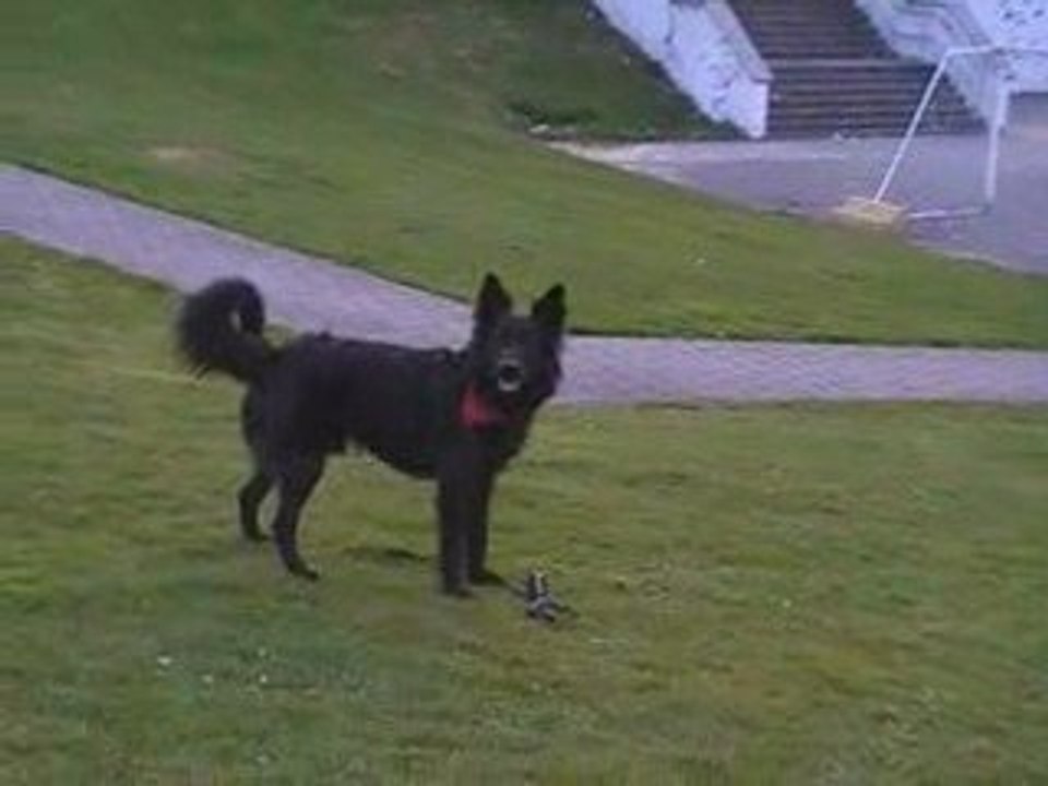 juste pour voir si ça marche ! et ça a l'air!