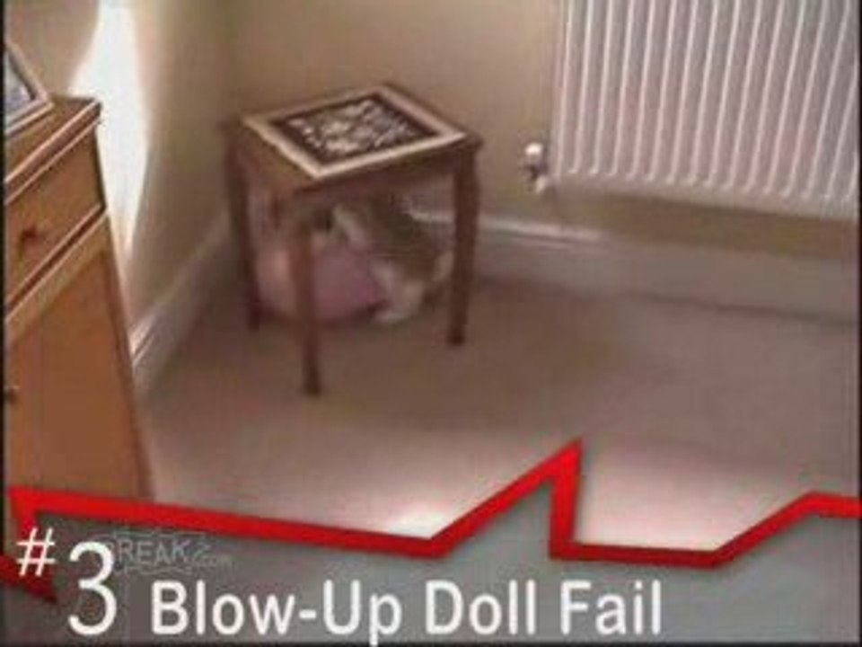 Most Awesome - Animal Lovin Fails