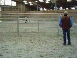 tobee stage didier Krempter