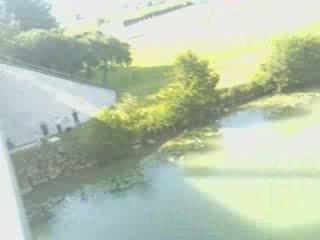 Moroww saute du pont