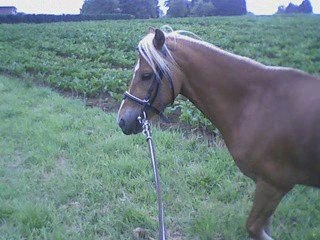 journée du 26 au 28