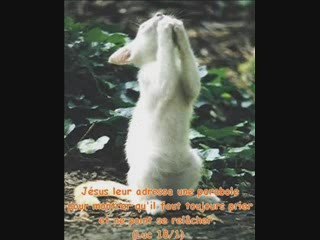 ricao "te sentes cansat"