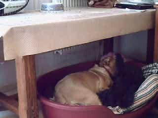 PRISKA et OLGANE s'eclatent!!!!