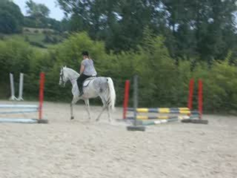 sirverlee au boulot au trot