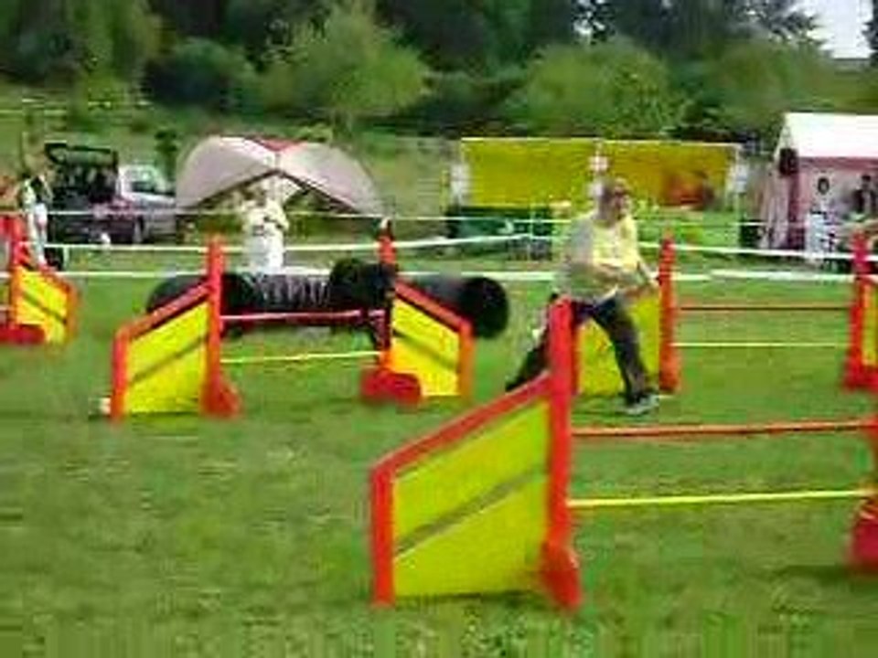 concours du clea 2009