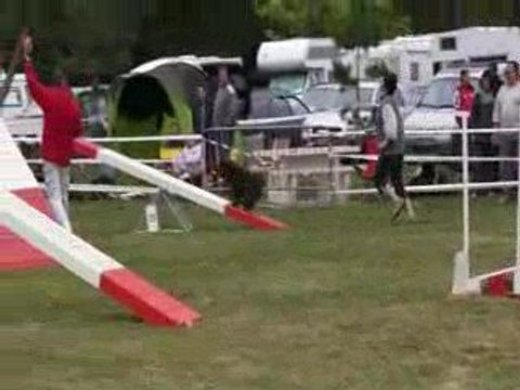 Ulotte Mousquetaire Agility 2008