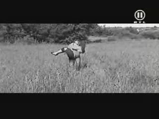 Shahrukh Khan (Salim) & Preity Zinta (D