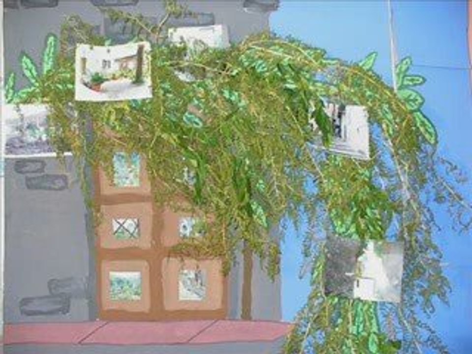 voyage au sein du pam