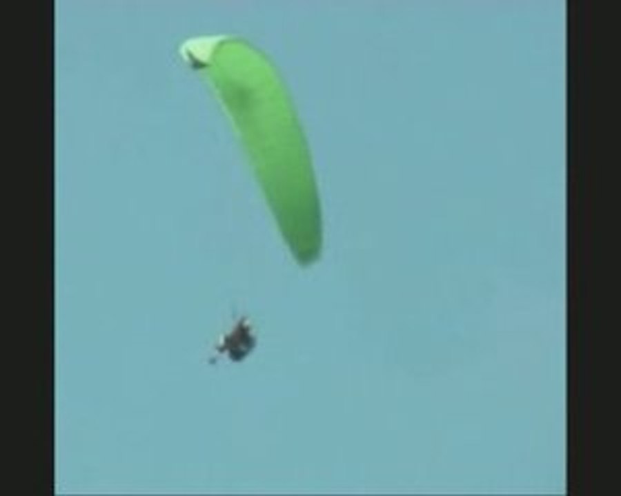 La Grenouille Verte (Version 1)