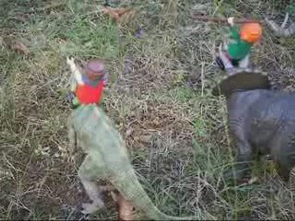 L'aventurier du flipper et les carnivores mangeurs de viande