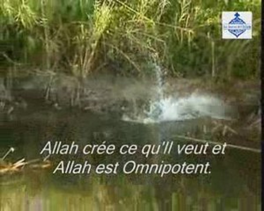 ne voient ils pas?