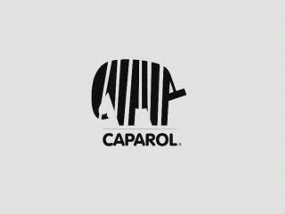 Capatect - Dalmaçyalı