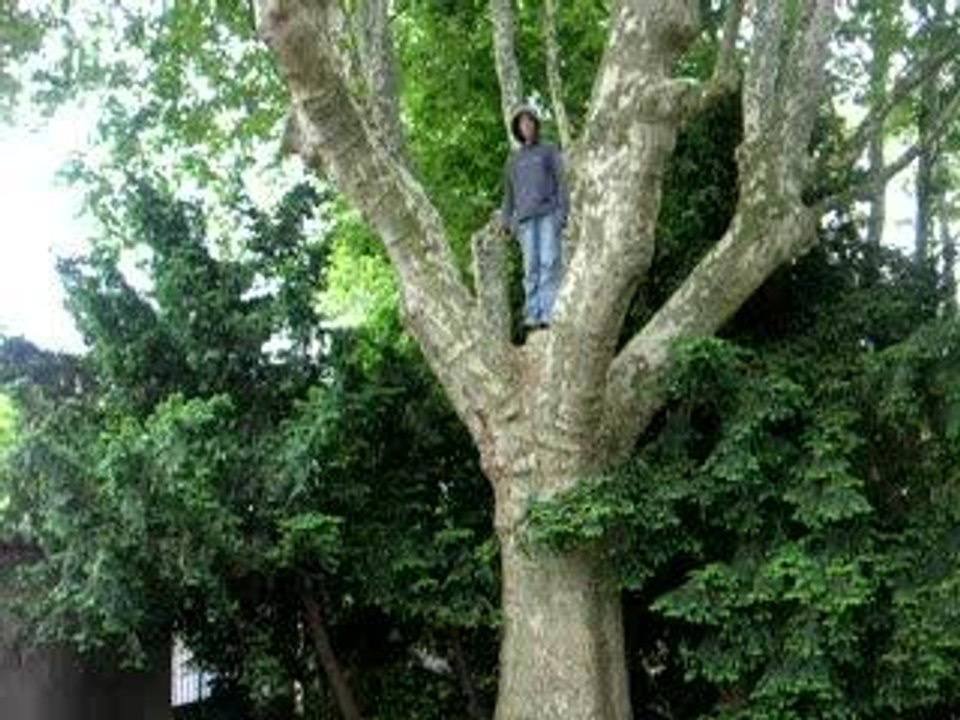 saut de fond