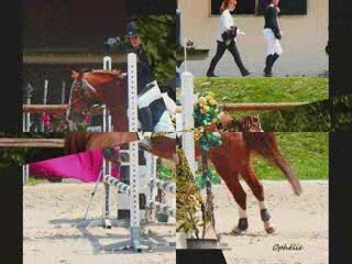 Cassandre et Don Juan des Garis