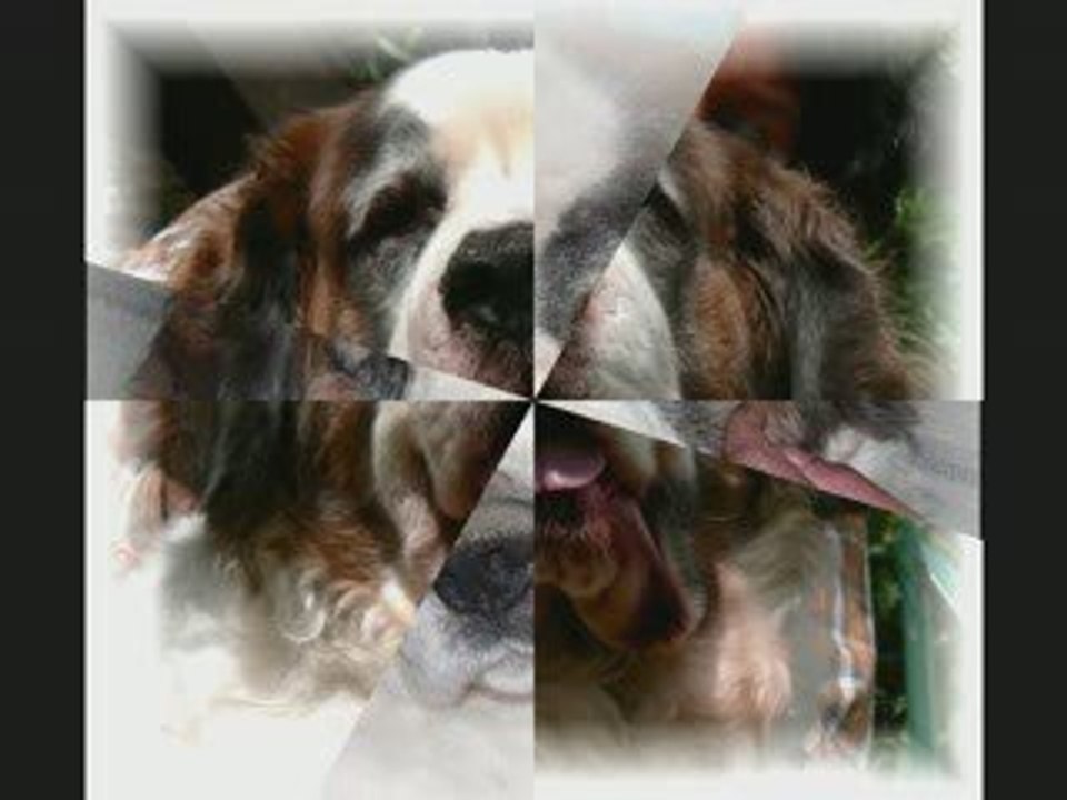 Ma Wendy, mon ange, ma petite pomme d'amour...