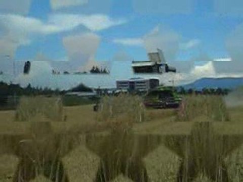 moisson avec claas lexion 570