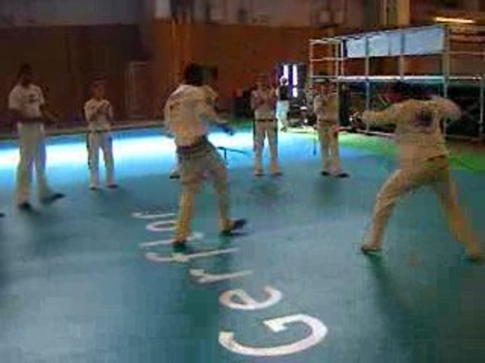 capoeira gerais au salon bougez!!!!