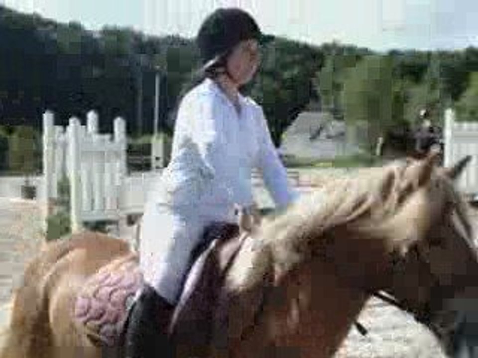 Cours Equitation Avec Majic <3