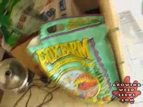 Indoor Marijuana Growing Setup - How to Grow Pot Seeds 9