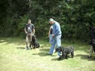 Dalko :séance de sociabilité  A.G.E.C.