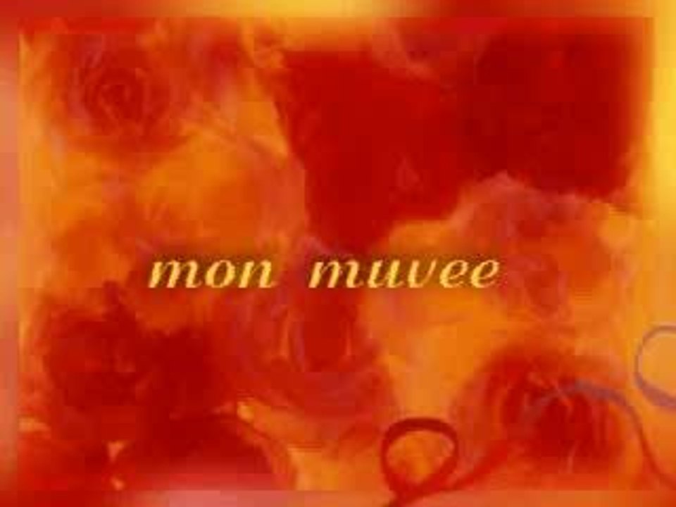 montage de mes minous