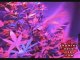 Cannabis Grow Box - 60 Watt LED Light - Pot Growing Guide 6
