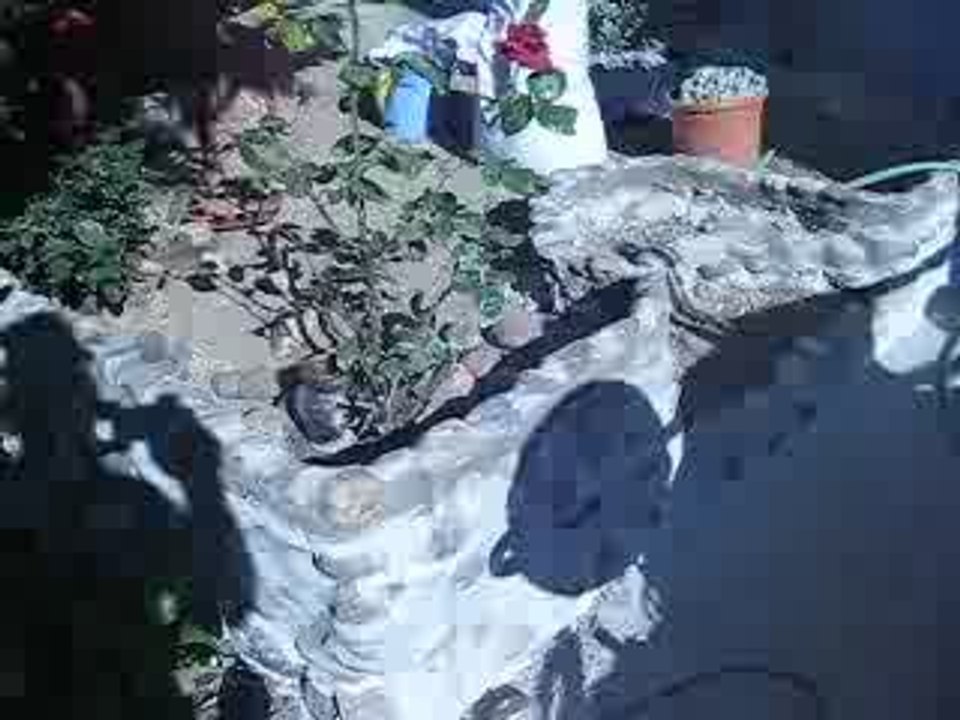 le jardin
