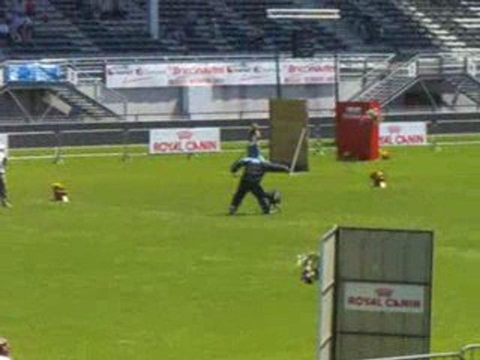 Ulko des Guerriers du Crépusclue